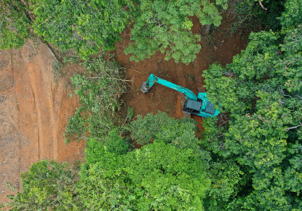 Aerial view of a tractor clearing rainforest in Thailand